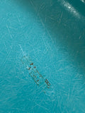 Eames DSX Fiberglass Shell Chairs for Herman Miller - Vintage Turquoise